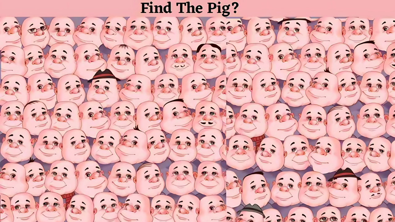 Brain Puzzle