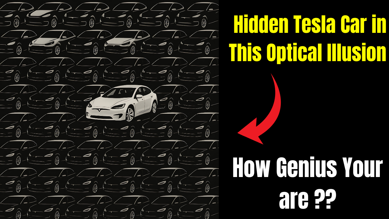 Can Spot the Hidden Tesla Car in This Optical Illusion