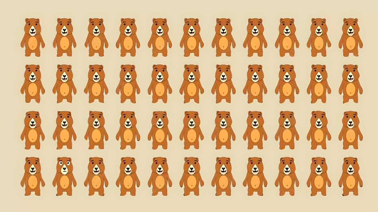 Can Spot the Unique Bear in 8 Seconds