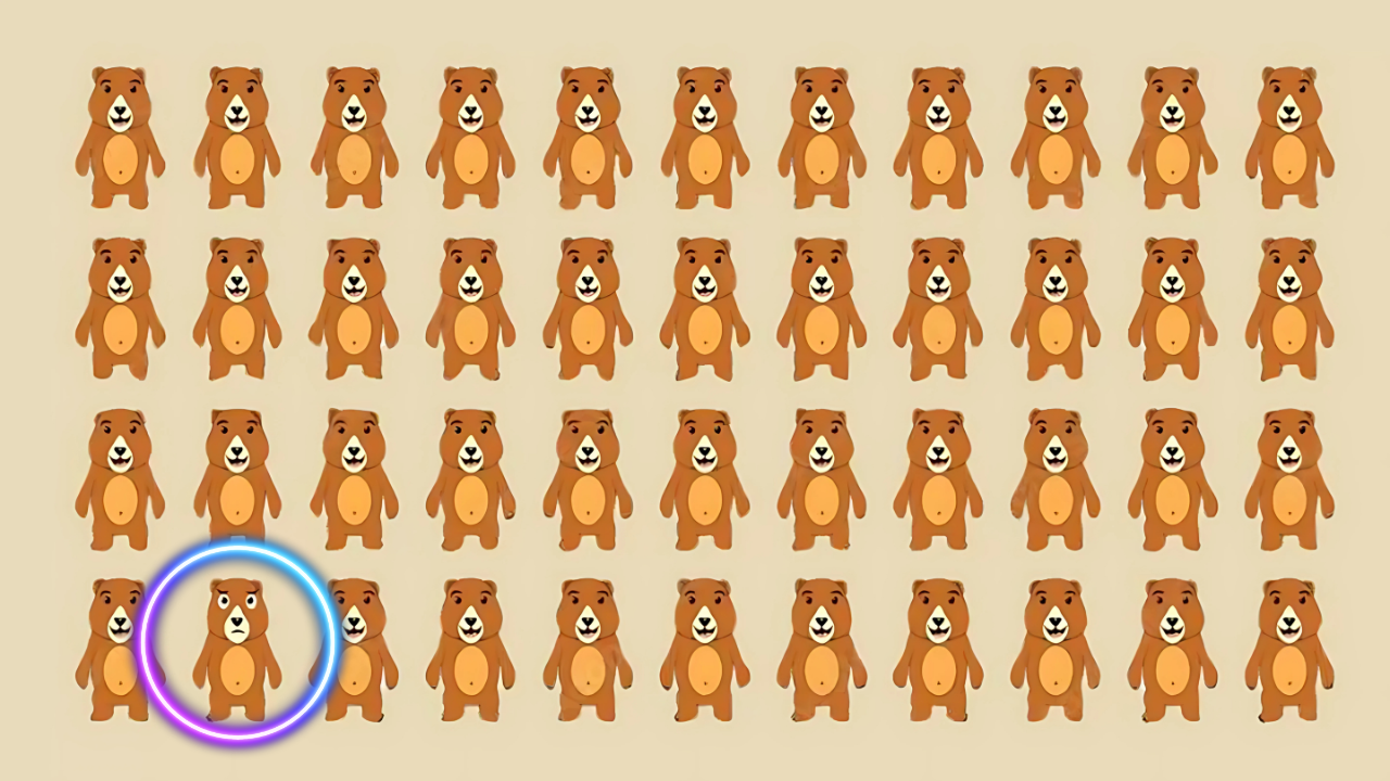 Can Spot the Unique Bear in 8 Seconds 