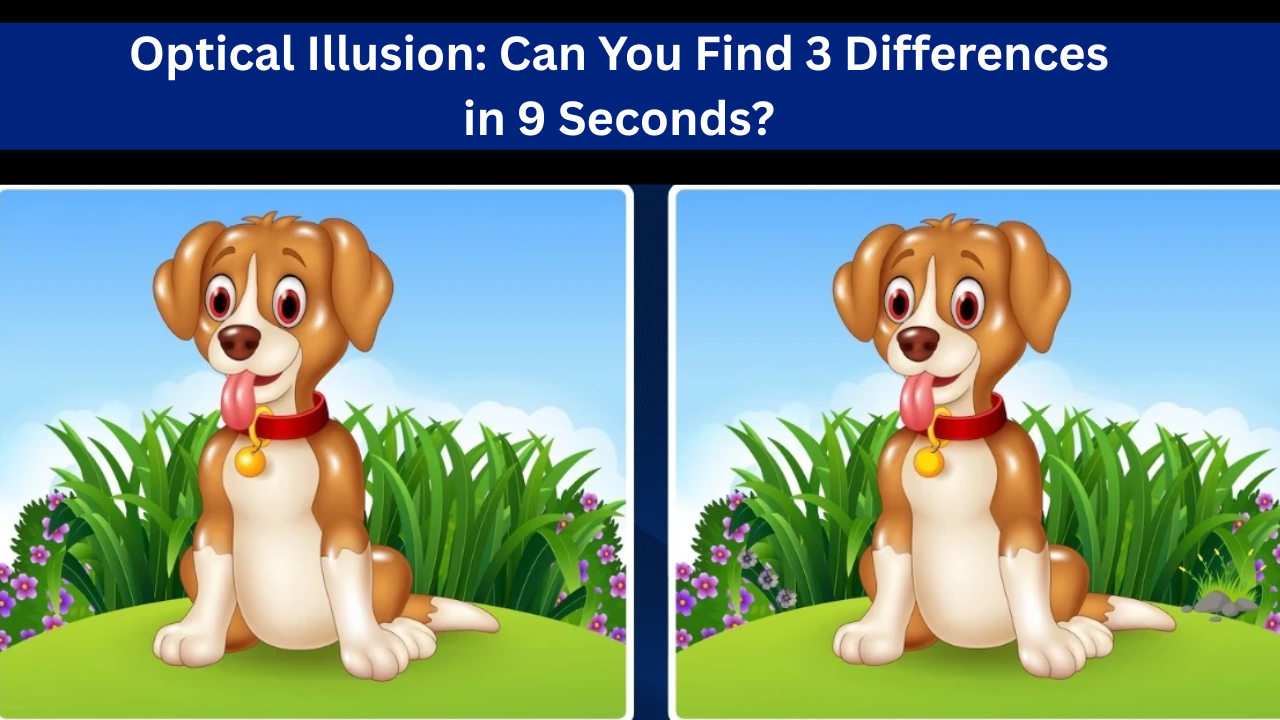 Optical Illusion
