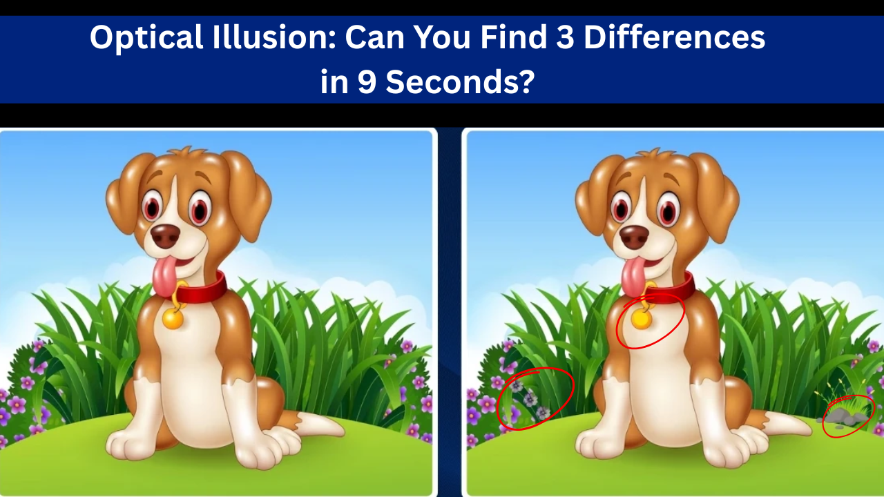 Optical Illusion