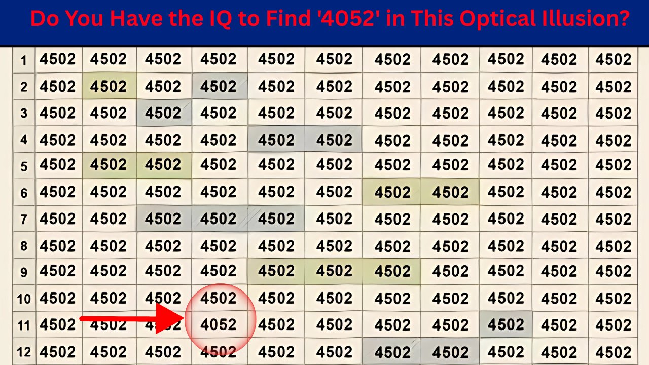 Optical Illusion