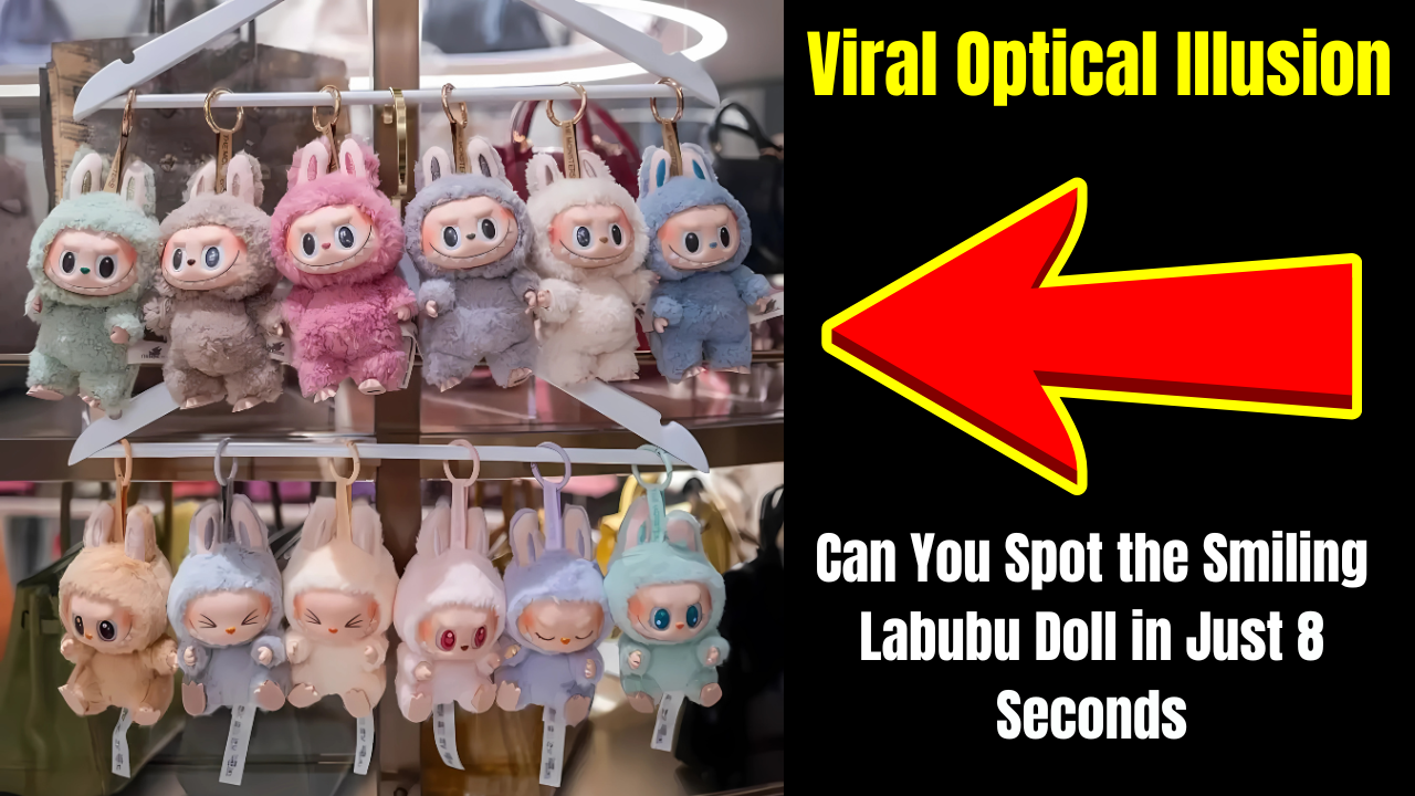 Viral Optical Illusion