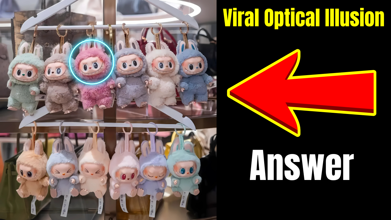 Viral Optical Illusion
